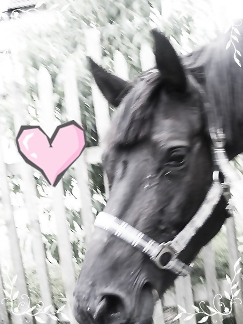 Mycha ;***