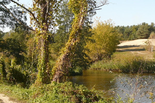 Zdjcie
