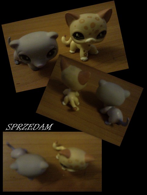 Pet Shop. :)