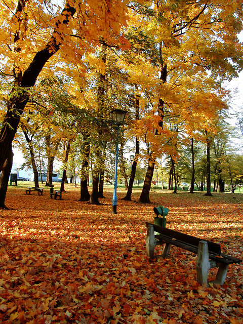 Park