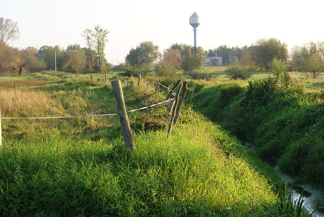Gorzyce.