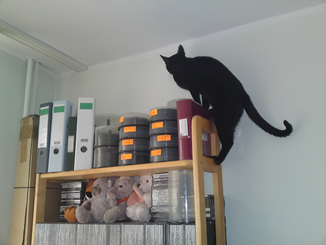 Besia