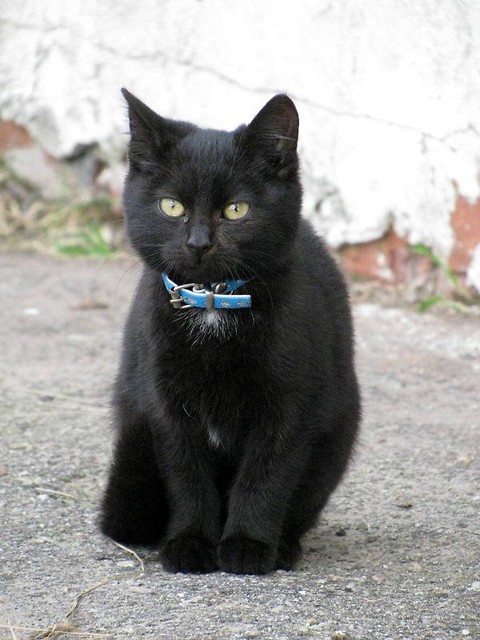 Elizka.
