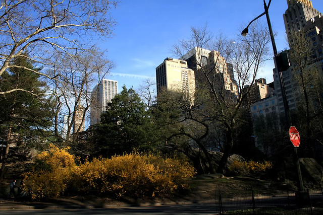 central park 