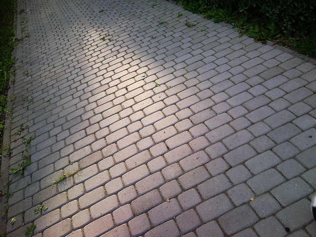 the way you go