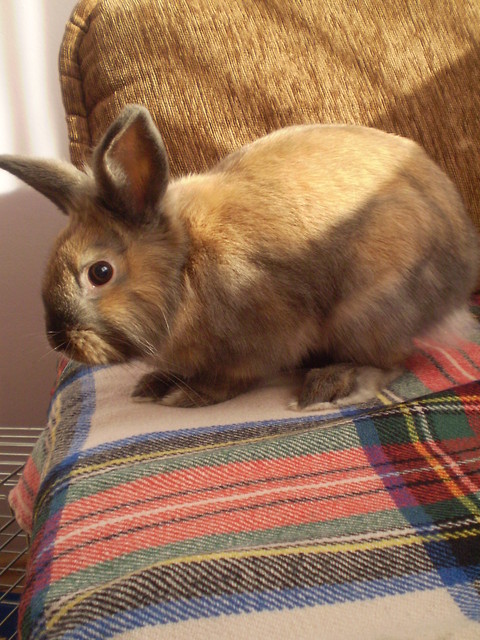 Rudy 