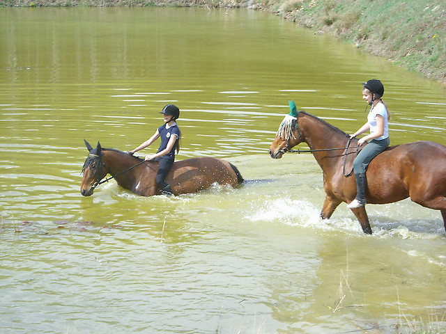 2009