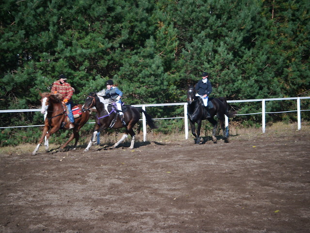 Hubertus2010