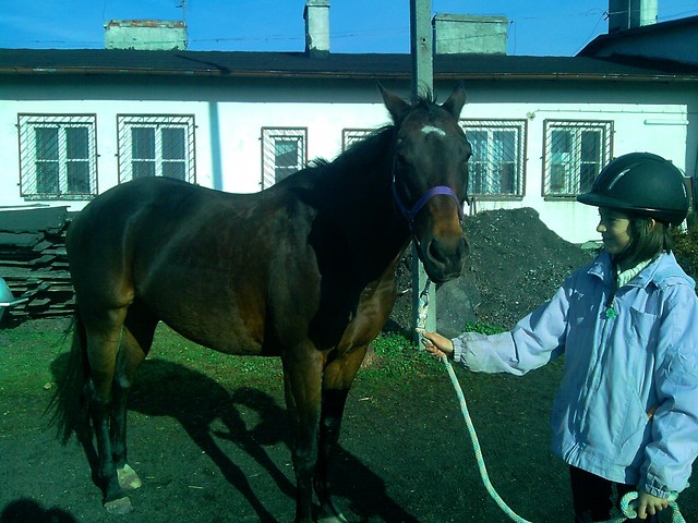 Nefka ;**