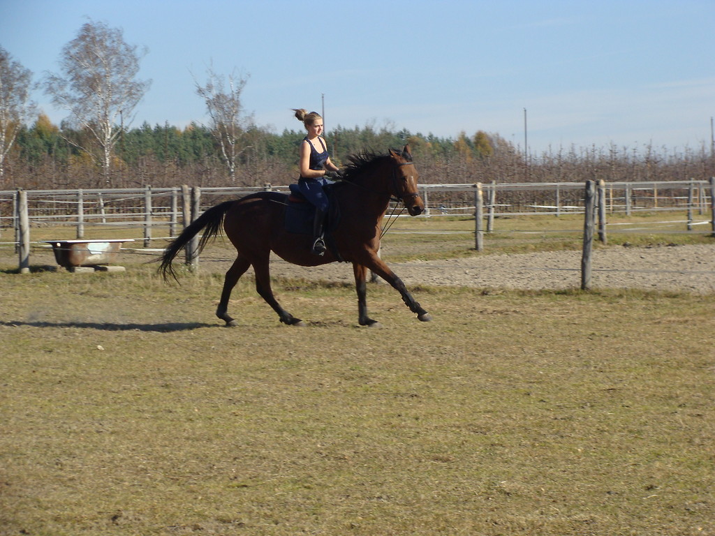 Daria na Alabamie:*:*