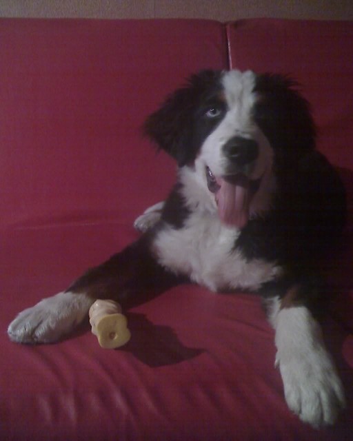mj mIcHu **