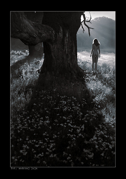 Act : To capture the moments...