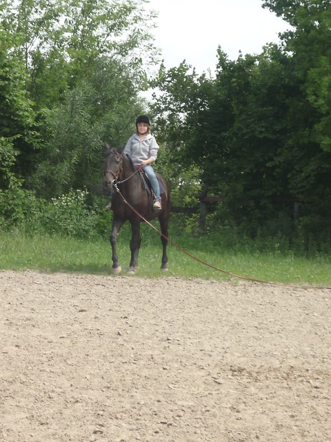 Amaa. xdd