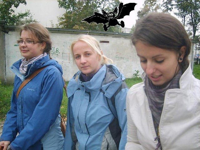 Chamski gwat jesiennej depresji