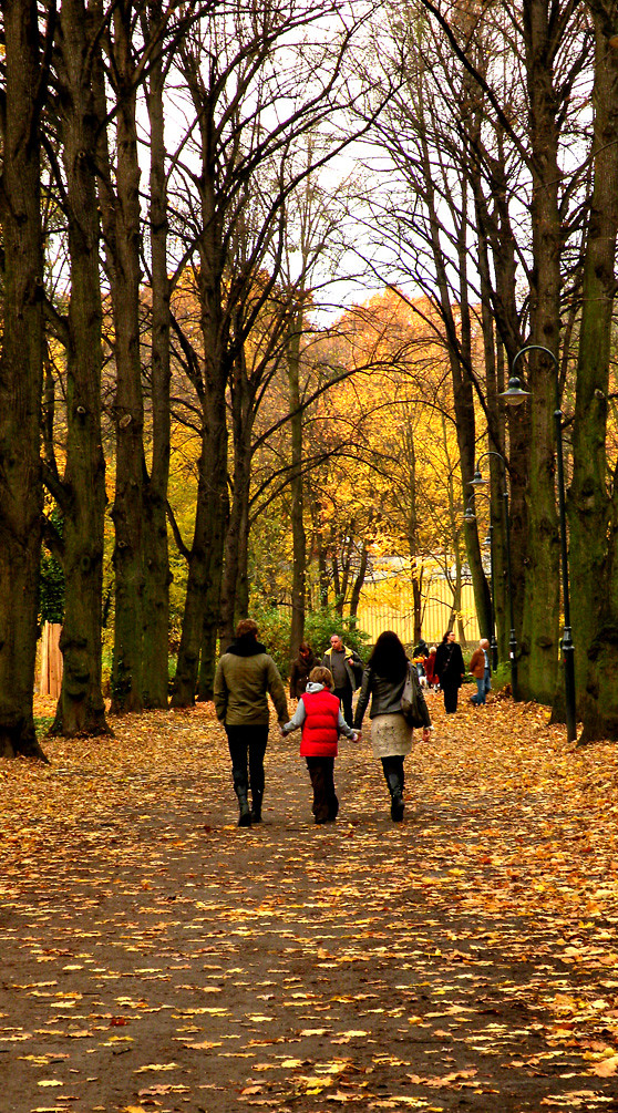 Jesienny Park