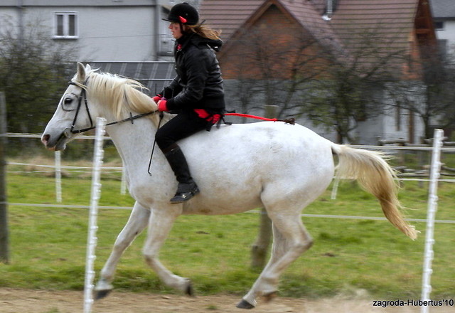 Hubertus :)