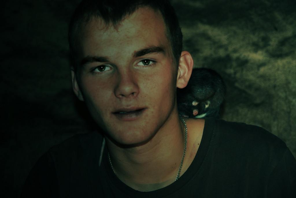 Dave