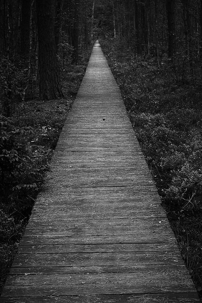 long way