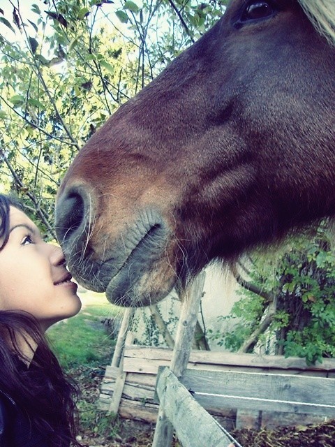 Francesco ;*