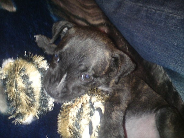 Gryzo :P