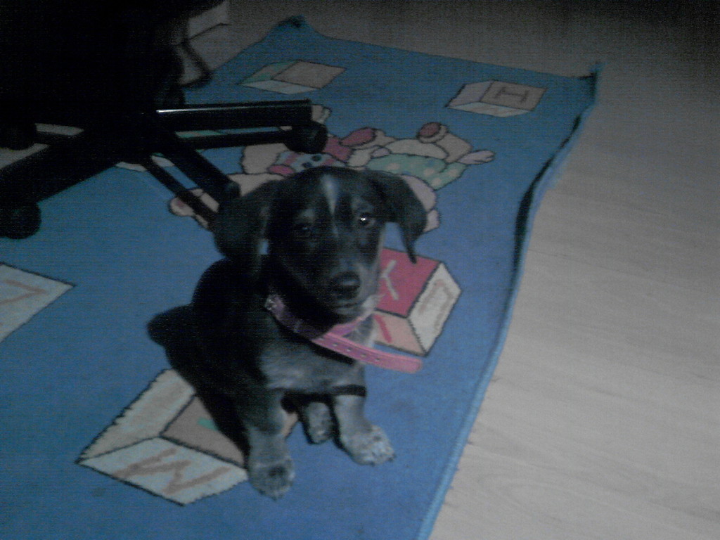 soniaa