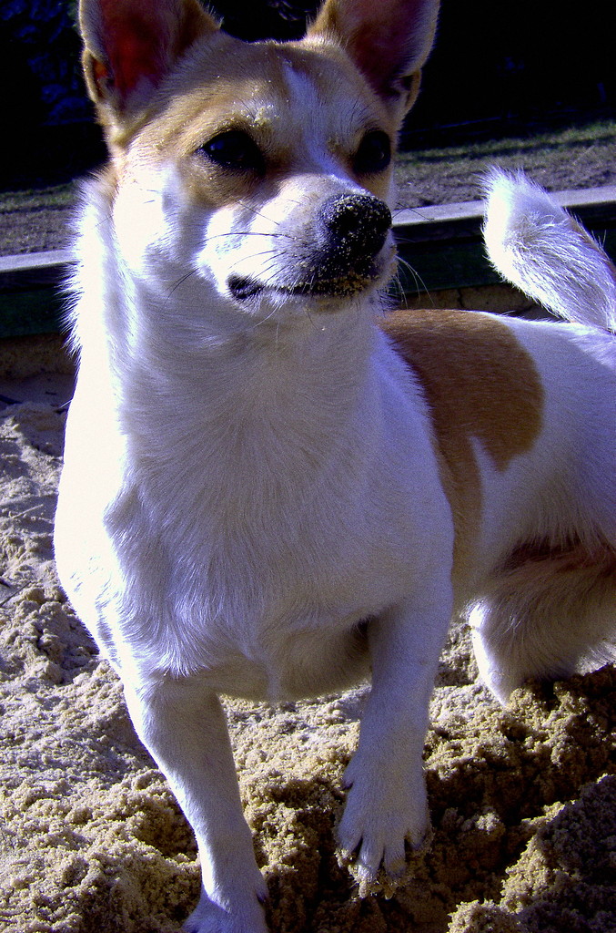Minia. < 3