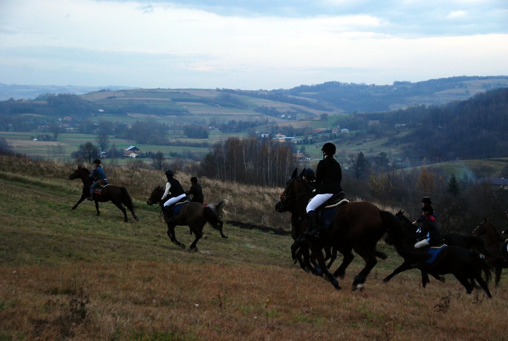 Kielnarowa, 06.11.10 - Hubertus