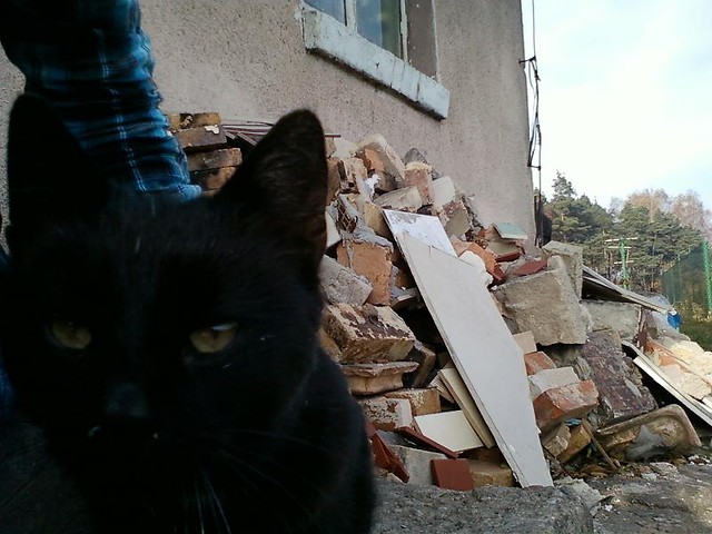 Koteczek .;*