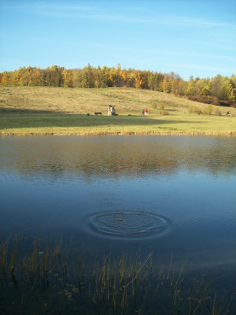 Mylcinek