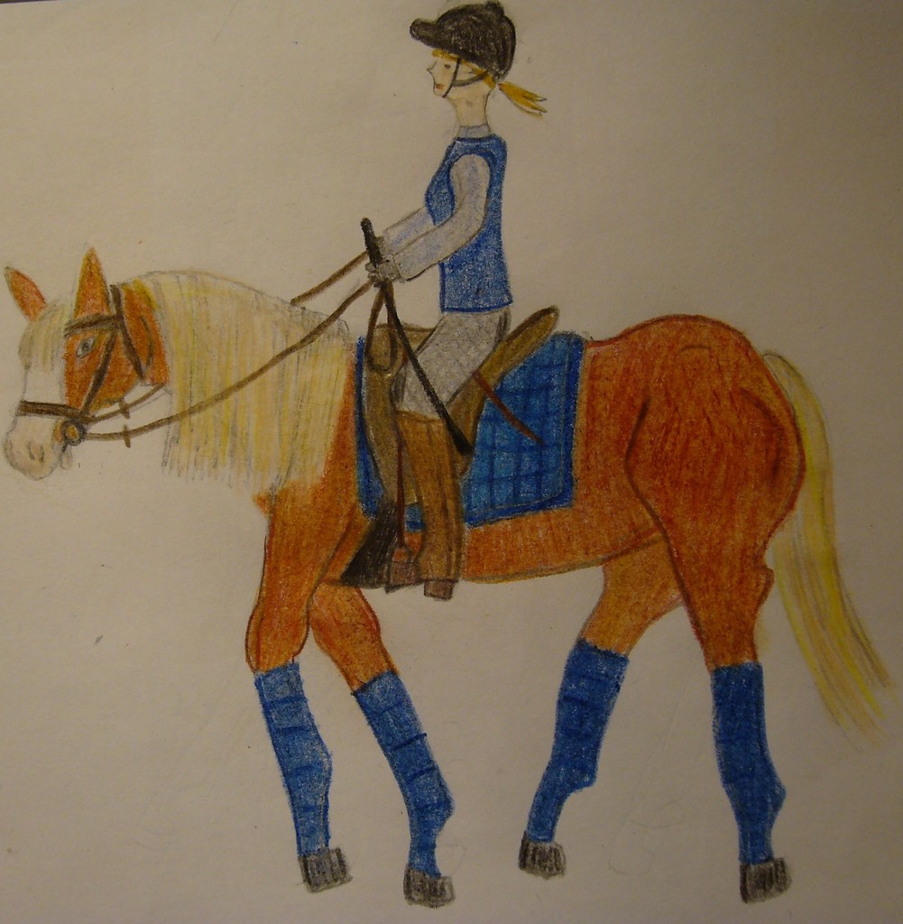 Haflinger