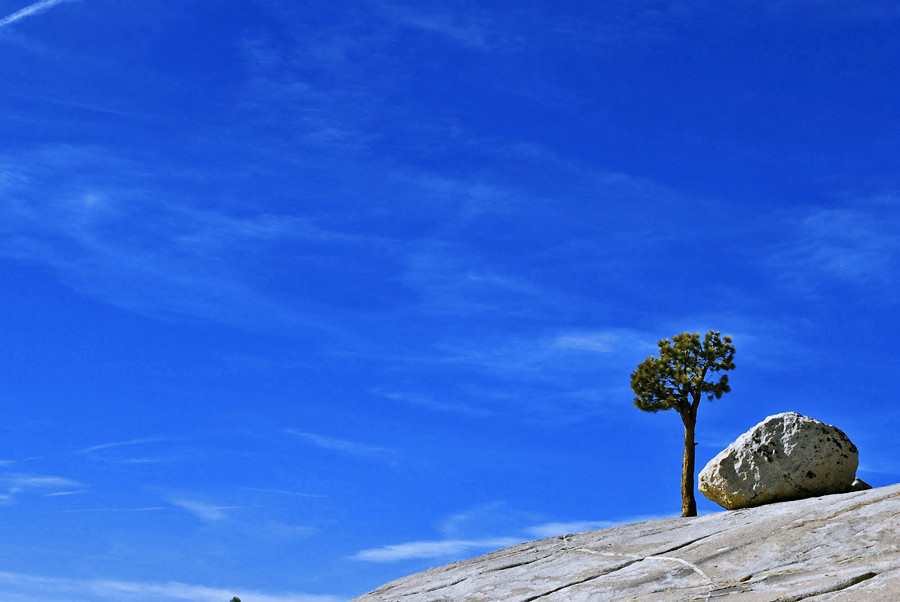 Yosemite - Olm Sted Point