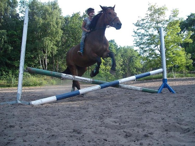 Kasia i  Wirus.!