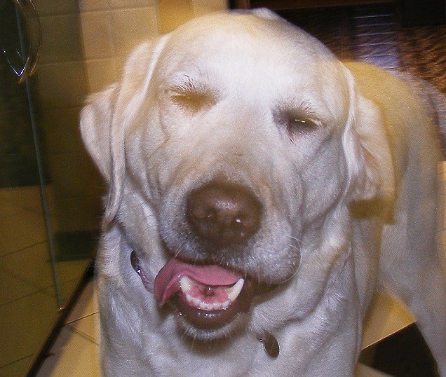 Sunia.