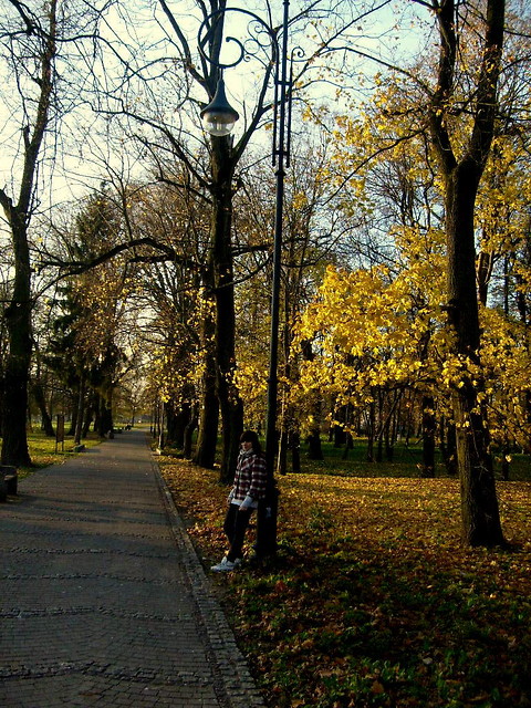 dobrzezeniewidac
