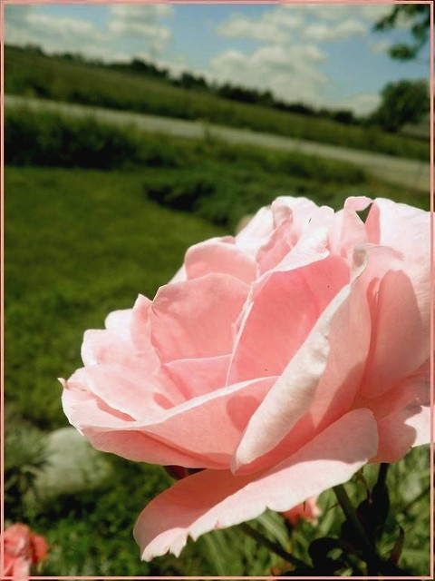 025