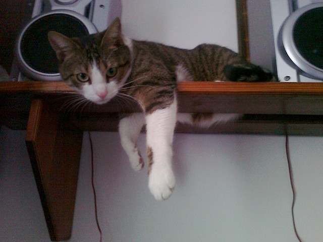 mj:****
