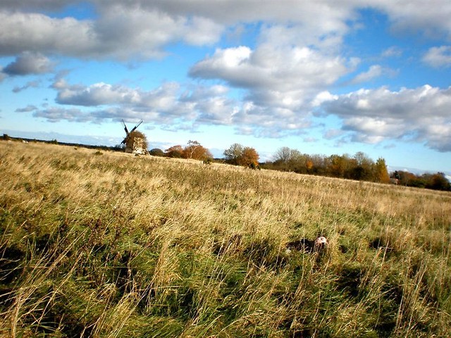 wyspa Saaremaa