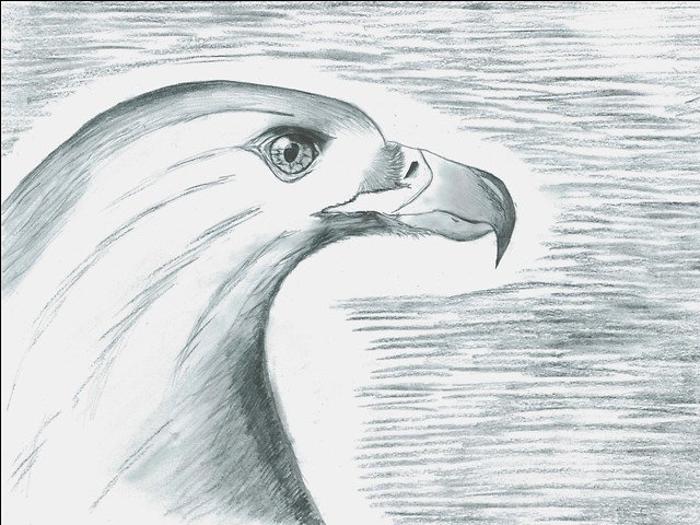 Eagle