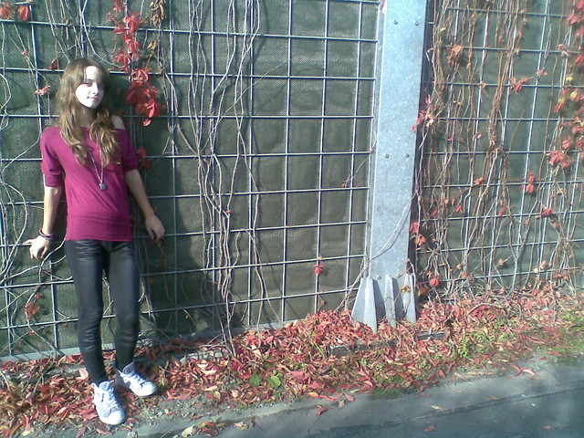 pokaz na ywo .