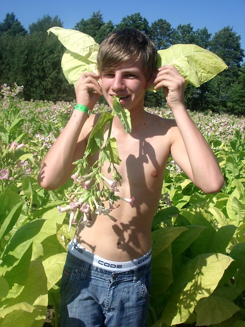 so ;d