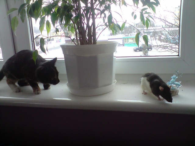 ahhh....Moje :*