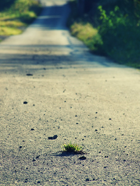 I walk alone, I walk alone