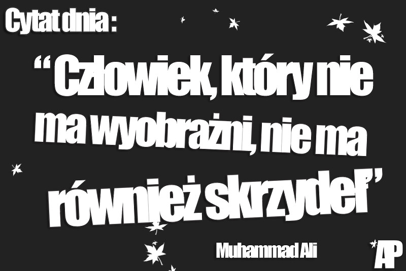 Cytat dnia