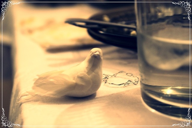 12.11.10 - lub ucji.