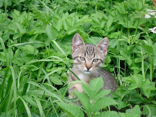 Jakub ;d