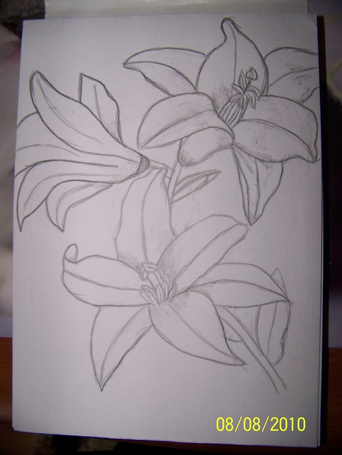 lilileeee...