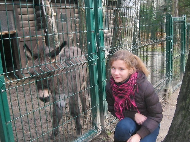 zoo