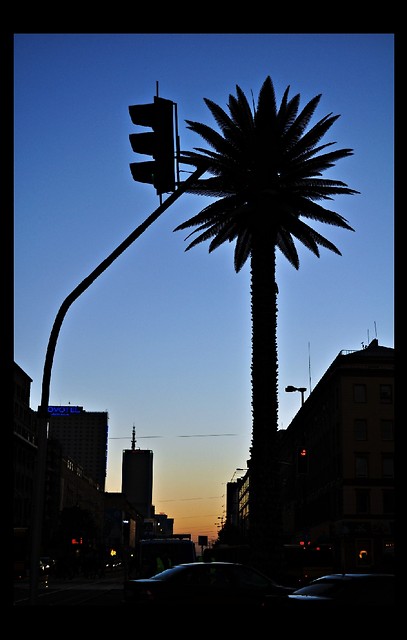 Palma