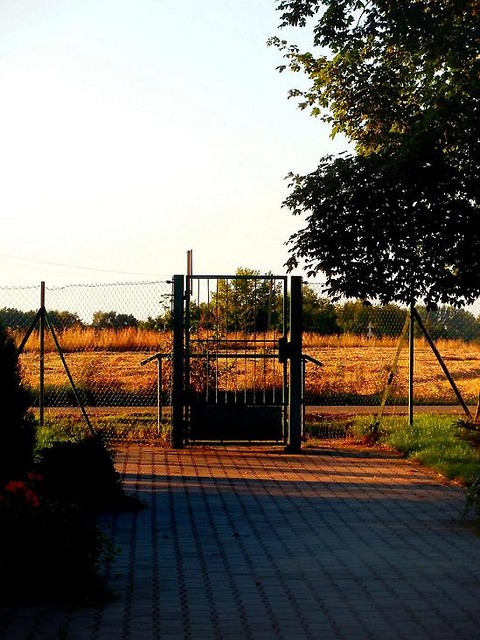 www.moim-okiem.com.pl