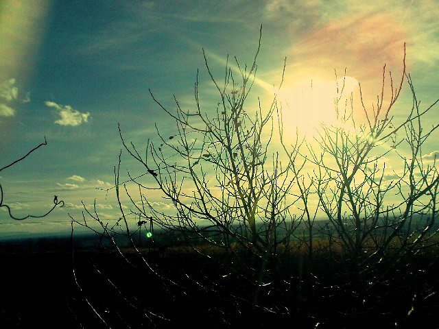 tsknie